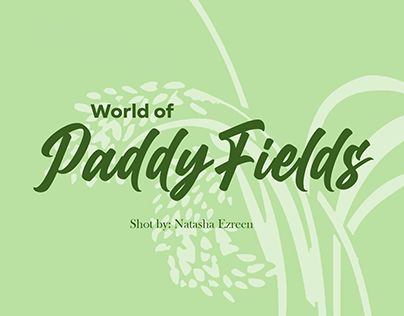 ADE473 Final Travel Photography (World of Paddy Field)