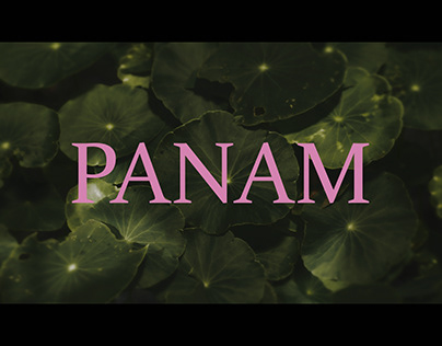 The Panam Project