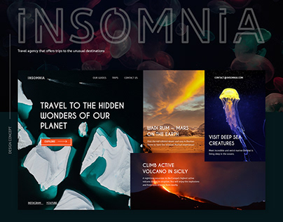 Insomnia - travel agency website design