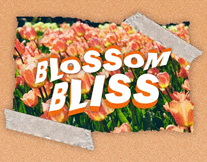 Blossom Bliss T-shirt Design
