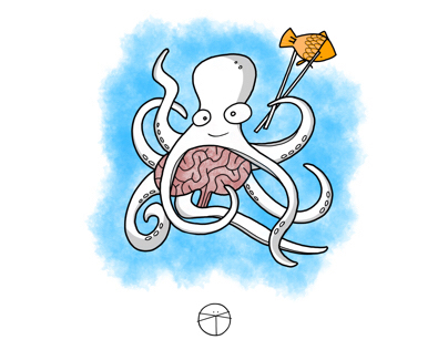 Cephalopod Brain, zine