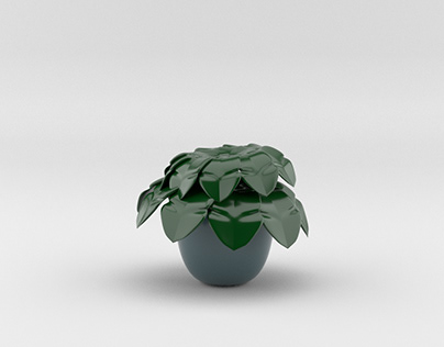 3D plant visualization
