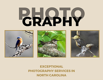 Exceptional Photography Services in North Carolina