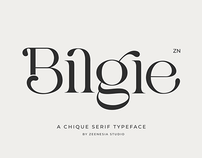 Bilgie Font