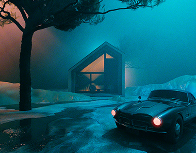BMW on a misty night
