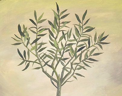 شتلة Olive branch