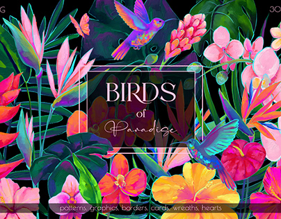 Project thumbnail - Birds of Paradise