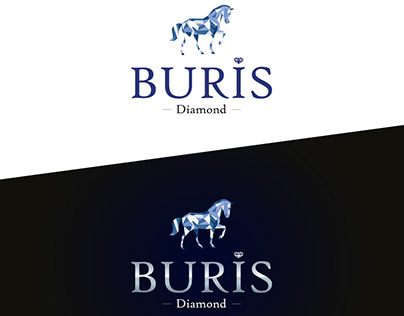 Buris Diamond Logo