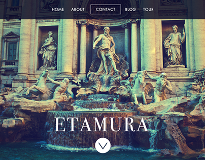 Etamura website design
