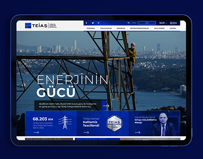 TEİAŞ Website Design