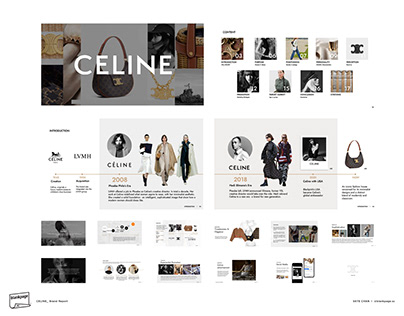 CELINE_Fashion Brand Research