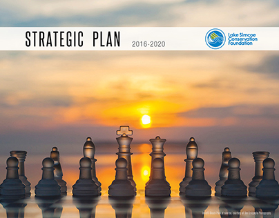 Strategic Plan 2016-2020
for LSCF