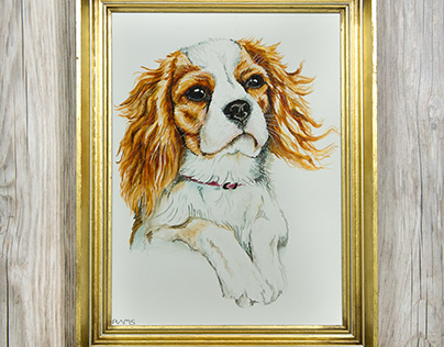 Miłka - watercolor dog portrait