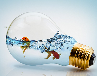 Fish in a light bulb
