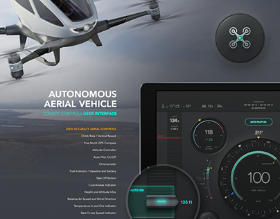 User Interface Controls for Aerial Vehicle