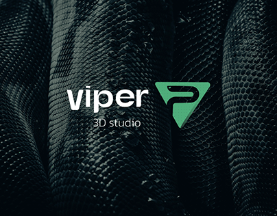Viper 3d Studio Branding