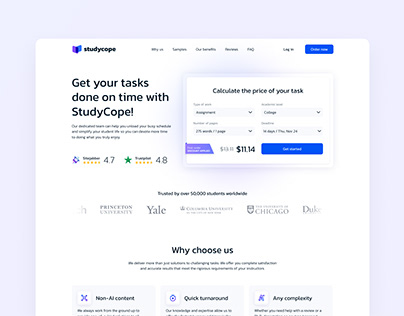 Landing page design for an essay writing service