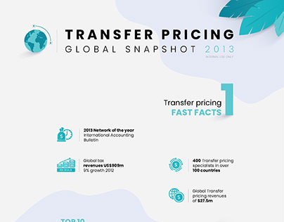 Transfer pricing information visualization case study