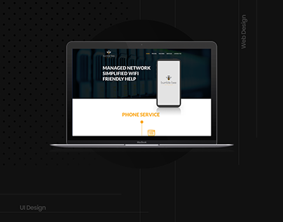 BumbleBee Networks- Minimal Website Design & Developmet