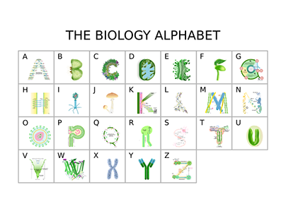The biology alphabet