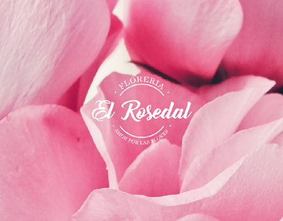 Florería El Rosedal l Branding - Social Media