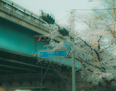 South Korea ‘23 Photography