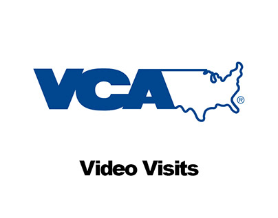 Project thumbnail - Video Visits (VCA)