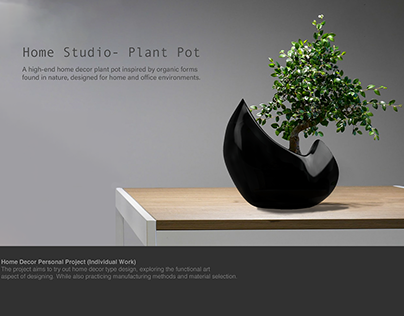 Home Studio-Plant Pot
