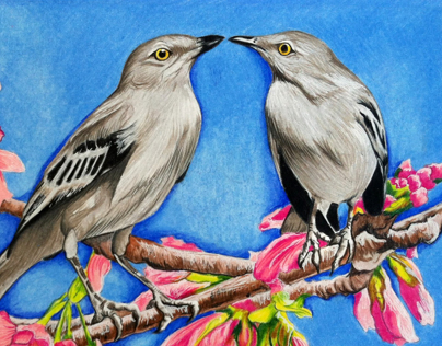 Kissing Mockingbirds