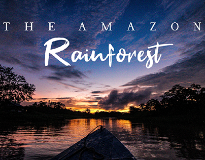 The Amazon Jungle Edits V12
