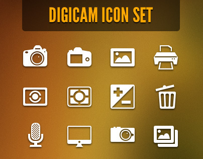 Digicam Vector Icon Set