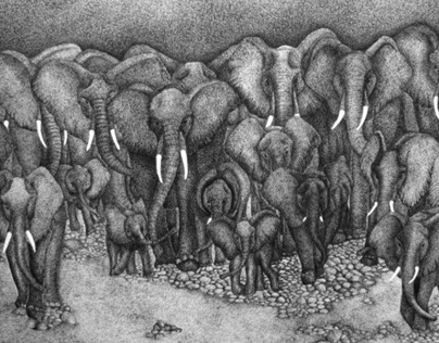 All The Elephants