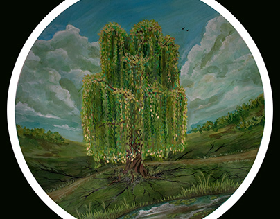 Weeping willow tree - Illustration