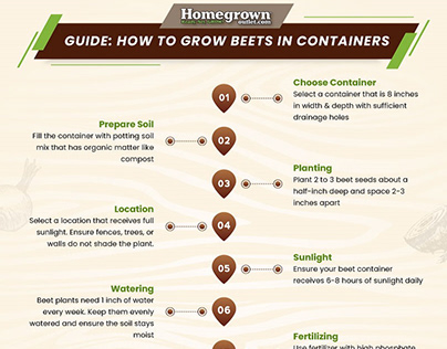How to Grow Beets in Containers?