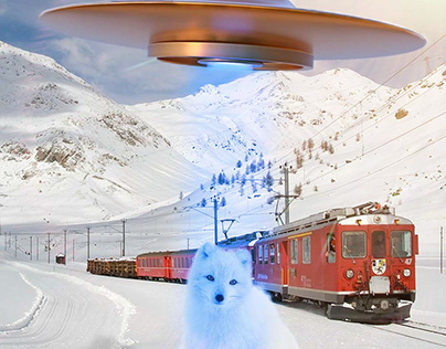 Snow Fox and Train
