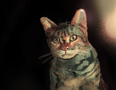 Project thumbnail - Bobo the Cat | Animated illustration