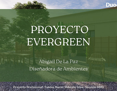 Proyecto Evergreen