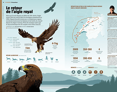 Infographie Aigle Royal (La Salamandre no271)
