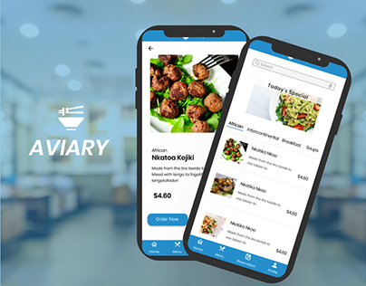 Aviary Project (First Google UI/UX Course Design)