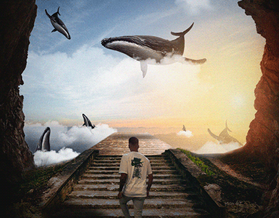 SKY WHALES | Manipulation
