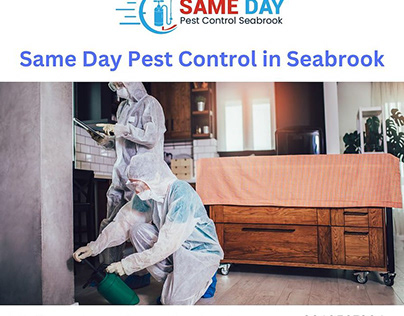 Expert Pest Control Solutions for Seabrook Residents