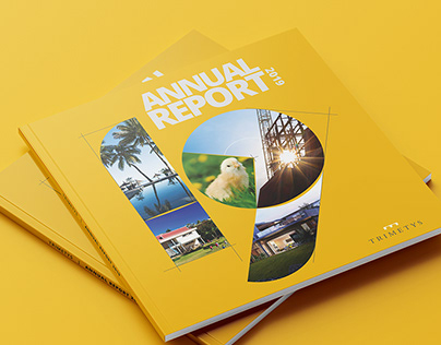 Trimetys Annual Report