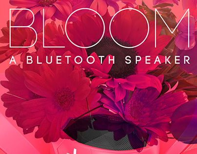 Bloom, a Bluetooth Speaker