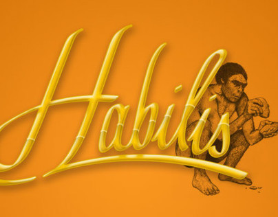 Habilis, playground 0.1