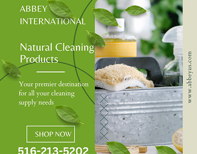 Natural Cleaning Products for a Healthier Home