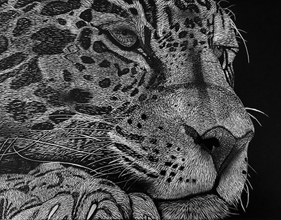 Leopardo - Scratch