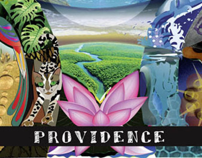 Providence - the album by Alin Karna.