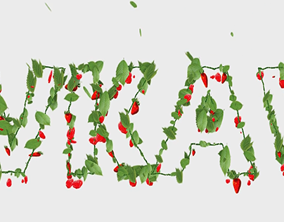 Logo Animation in leaves and raspberries