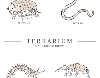 Image for Terrarium Builder