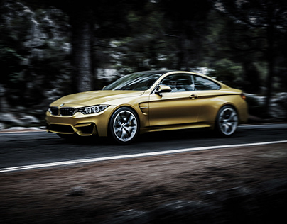 BMW M4 - Forest Road
